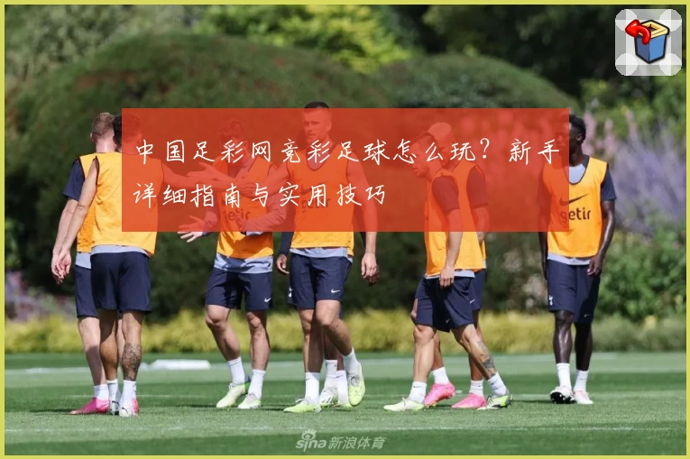 中国足彩网竞彩足球怎么玩？新手详细指南与实用技巧
