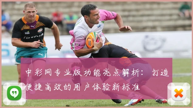 中彩网专业版功能亮点解析:打造便捷高效的用户体验新标准