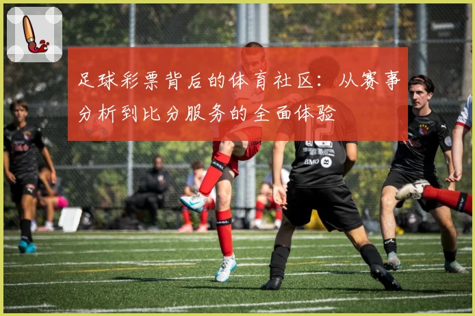 足球彩票背后的体育社区：从赛事分析到比分服务的全面体验