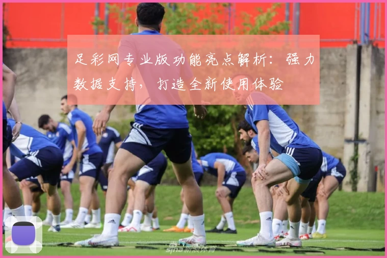 足彩网专业版功能亮点解析:强力数据支持,打造全新使用体验
